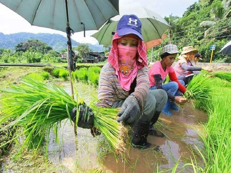 Pinaluwag Ang Mga Hadlang Sa Importasyon Ng Agrikultura