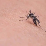 DOH Nagbababala sa Posibleng Pagtaas ng Dengue Cases