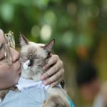 DOH warns: Avoid kissing pets, even if vaccinated, amid rising rabies cases