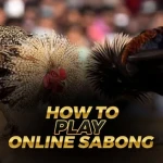 What Everyone Know About Sabong: PERYA GAME! You don't know