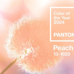 Peach Fuzz: Ang Kulay ng 2024 ay Inihayag ng Pantone Color Institute