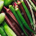 Benepisyo ng Pipino at Okra sa Katawan