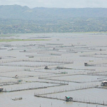 'Walang Pahintulot sa Reklamasyon sa Loob ng Laguna de Bay'