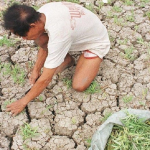 Pangako ni Marcos ng Tulong sa mga Nasalantang Lugar ng El Niño.