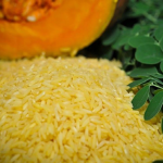 'Pang-Hudikatura ng Pilipinas Pinigil ang Produksyon ng GMO 'Golden Rice' dahil sa mga Pag-aalinlangan sa Kaligtasan'