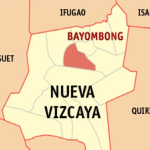 "5 Nailigtas mula sa Bar sa Nueva Vizcaya: May-ari, Hinuli"