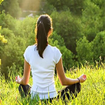 The impact of nature on mental health and stress reduction